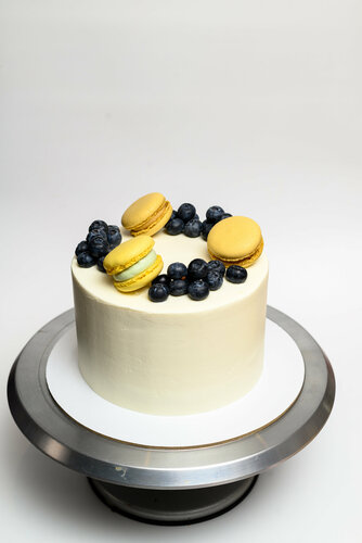 yulduzlar oz mushuklarini korsatishadi