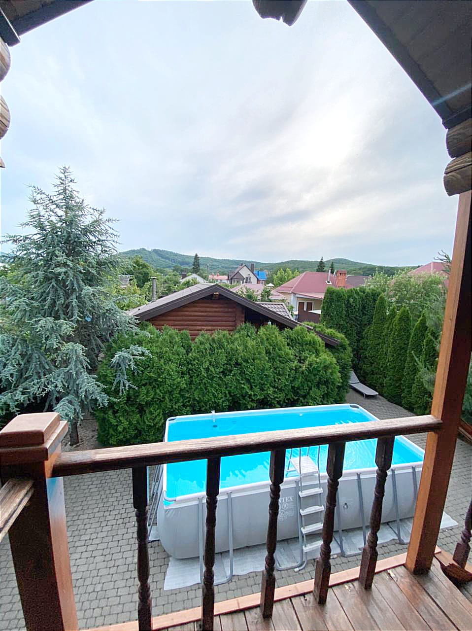 Фото Вербена