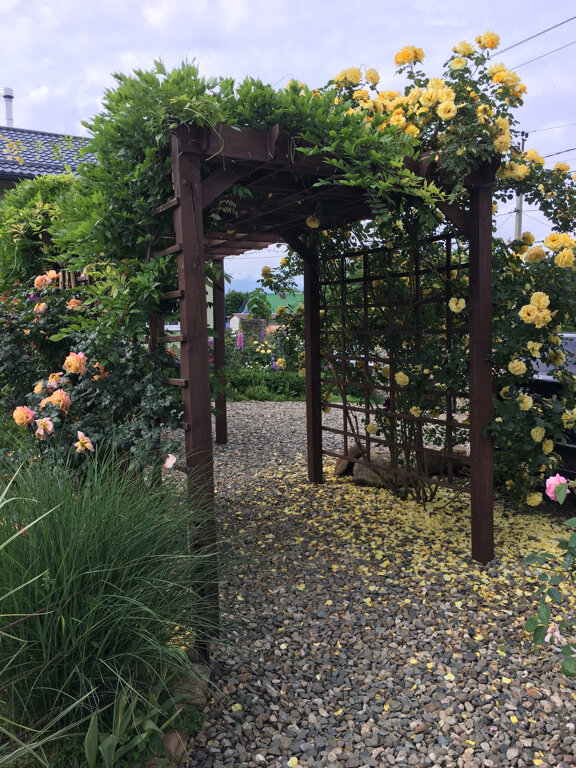 Фото Петровские Домики