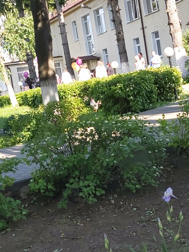 Jardín de infancia, guardería HCDOU detsky sad № 75 RZhD, , foto