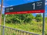103 км (Penza Region, Bessonovskiy rayon, selo Prokazna) ، محطة سكة حديدية