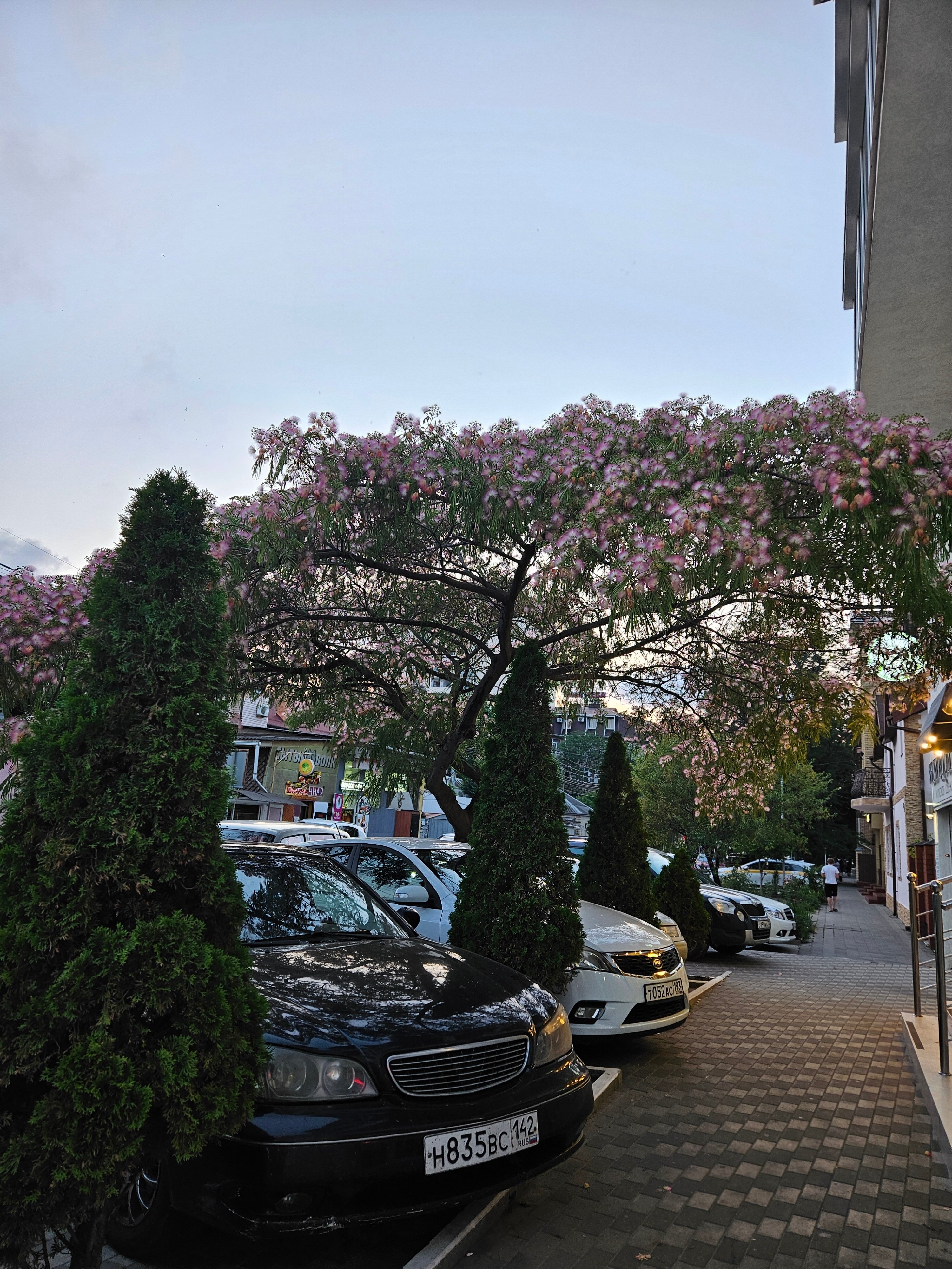 Фото Каравелла