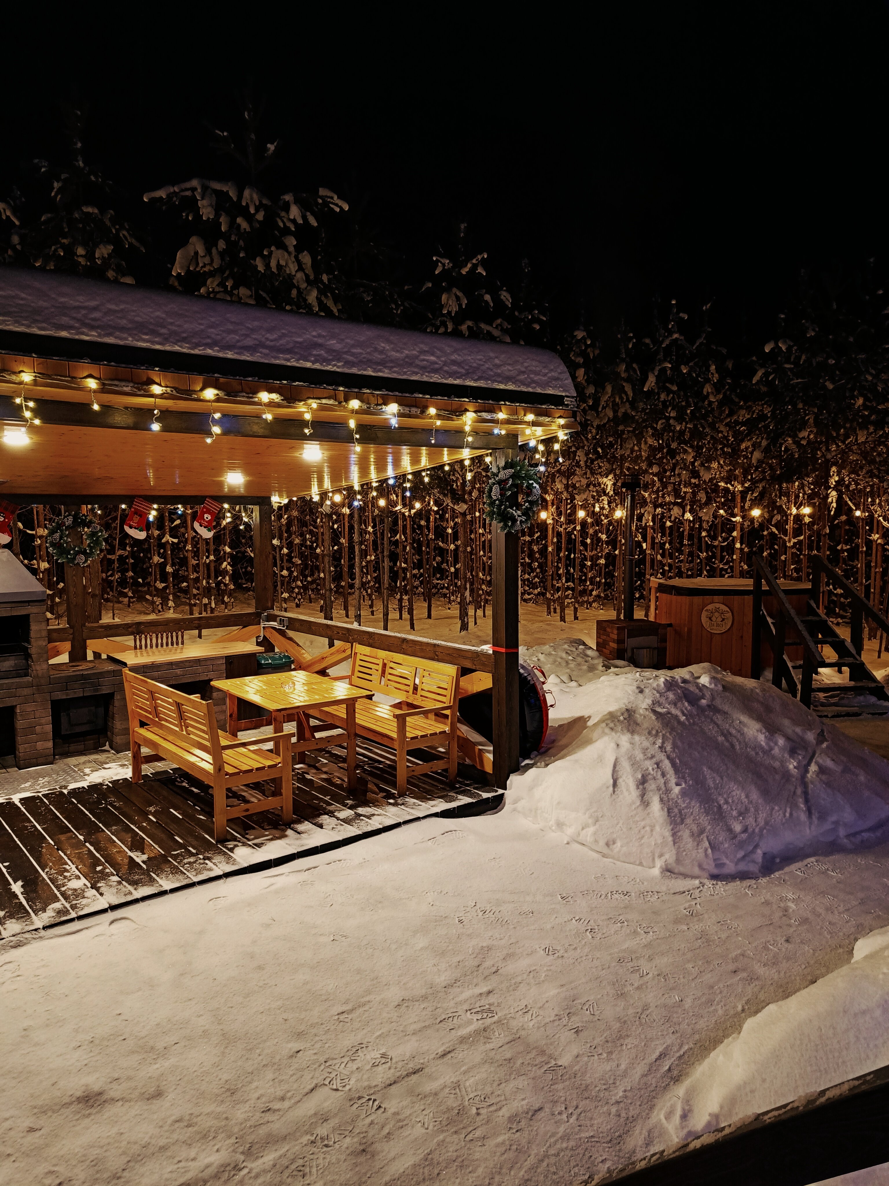 Фото Два Лося