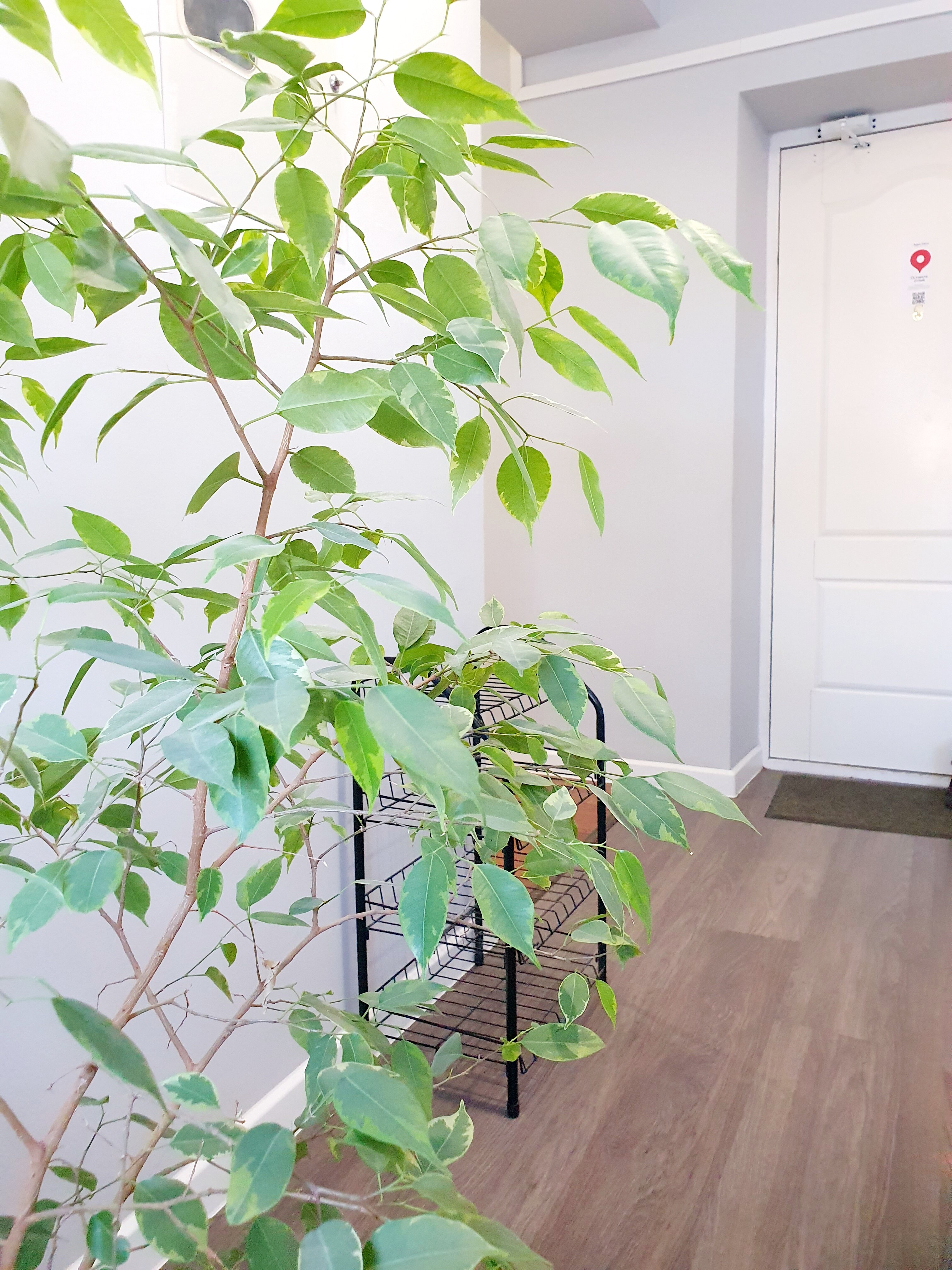 Фото Welcomerooms