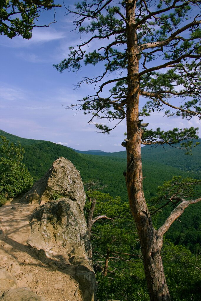 Достопримечательность Планческие скалы, Краснодарский край, фото