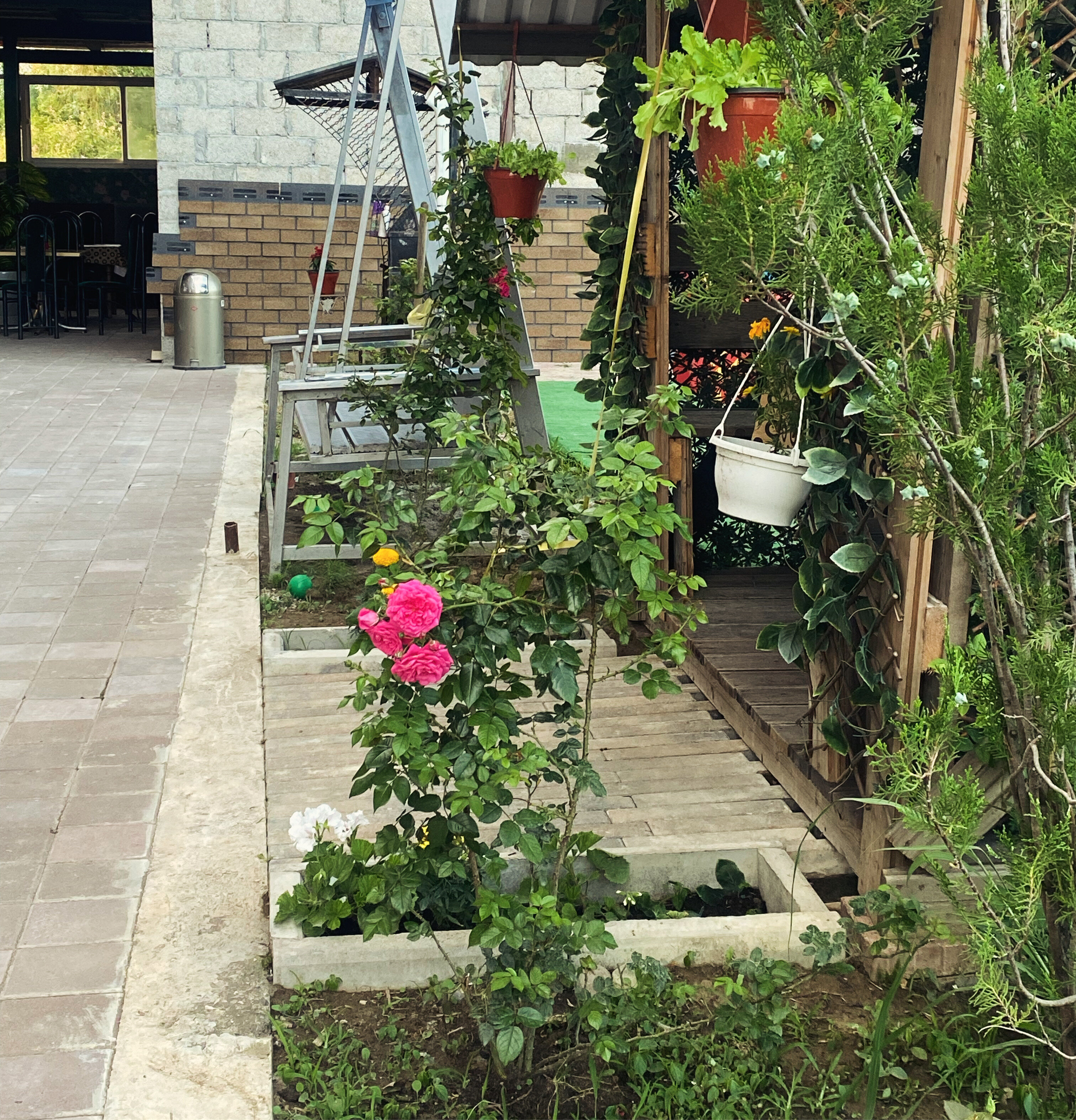 Фото Лазурь