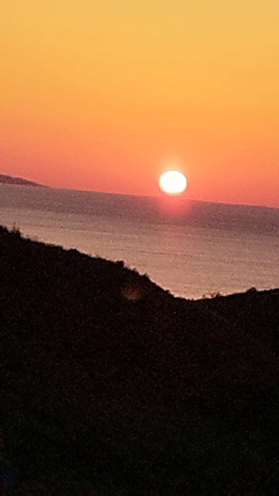 Фото Сафари