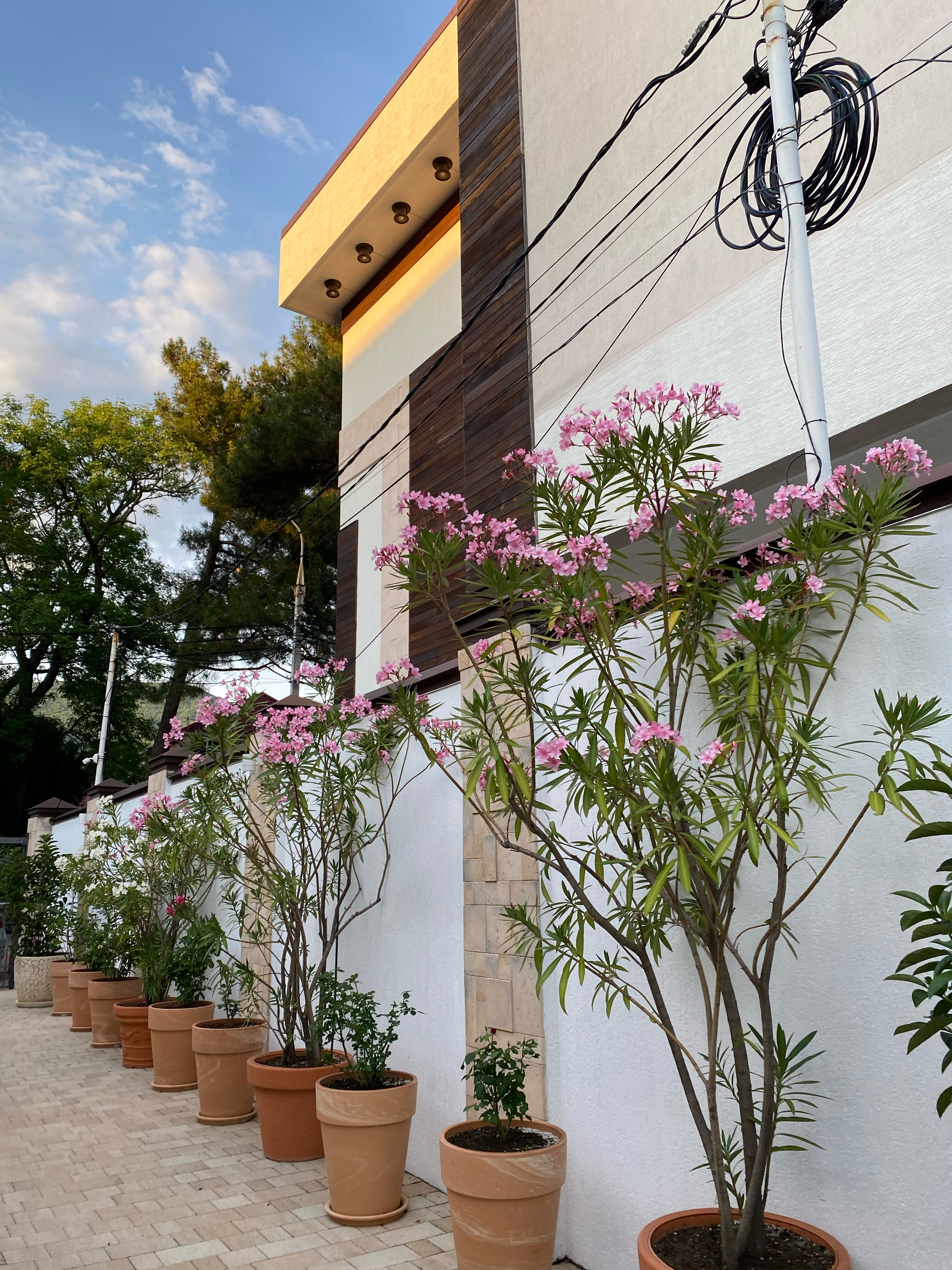 Фото Blue Marlin