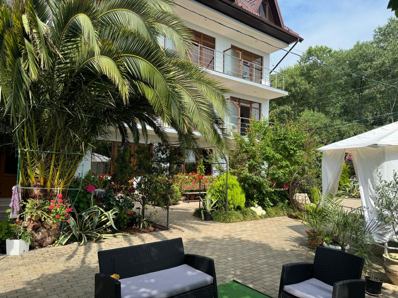 Фото Астория