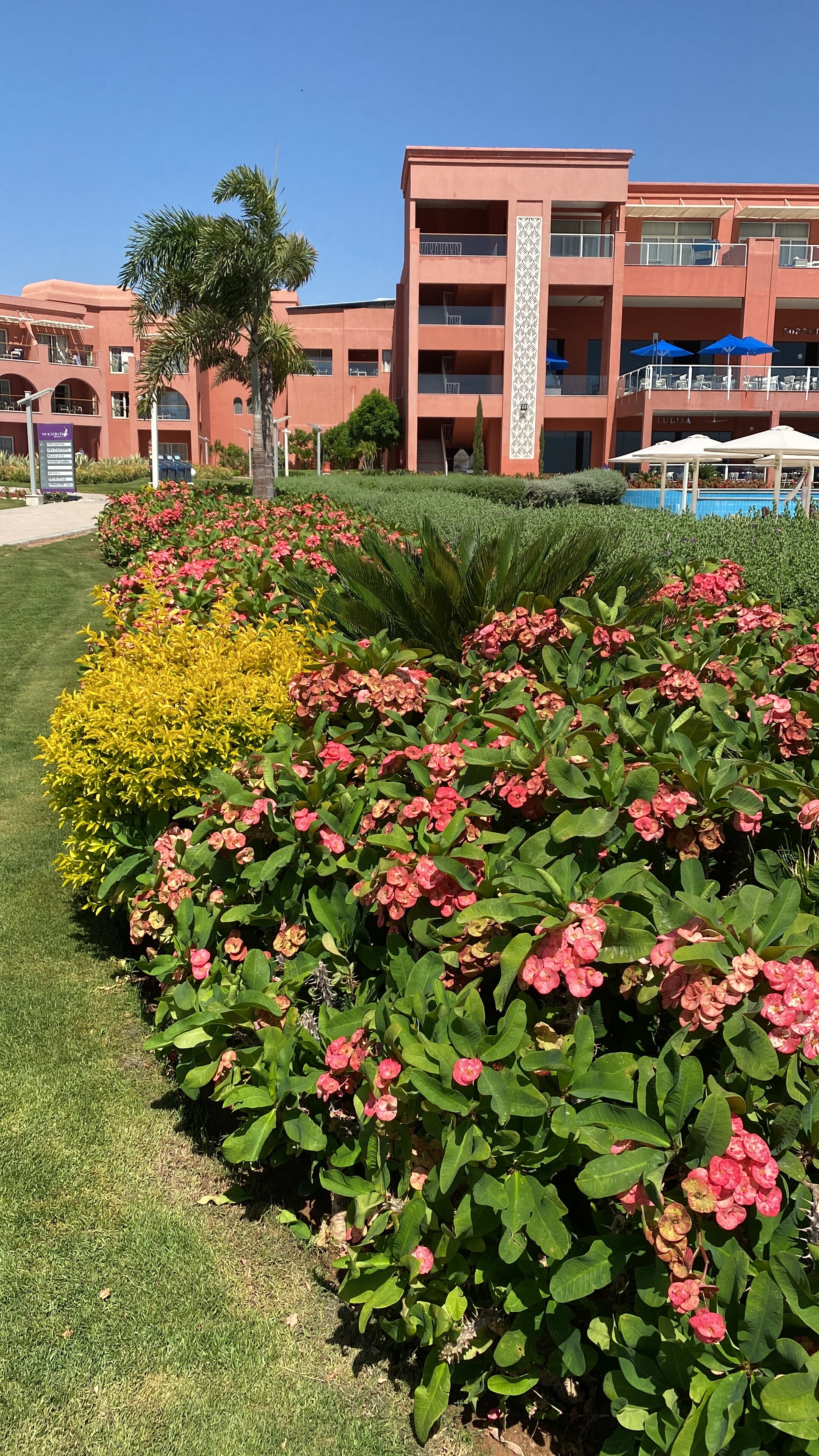 Фото Albatros Laguna Vista Resort