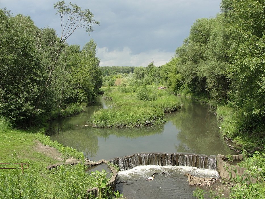 Фото заказник алтуфьевский