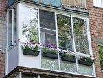 bfk (Lenina Avenue, 138Б), windows