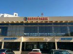 Petrogradets (Lva Tolstogo Street, 8), sports center