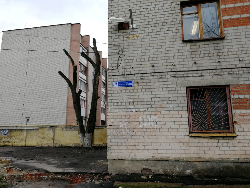 Playground Playground, Voronezh, photo