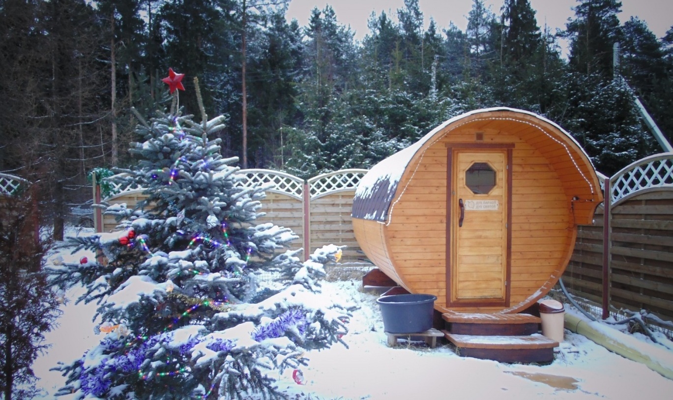 Фото Викинг