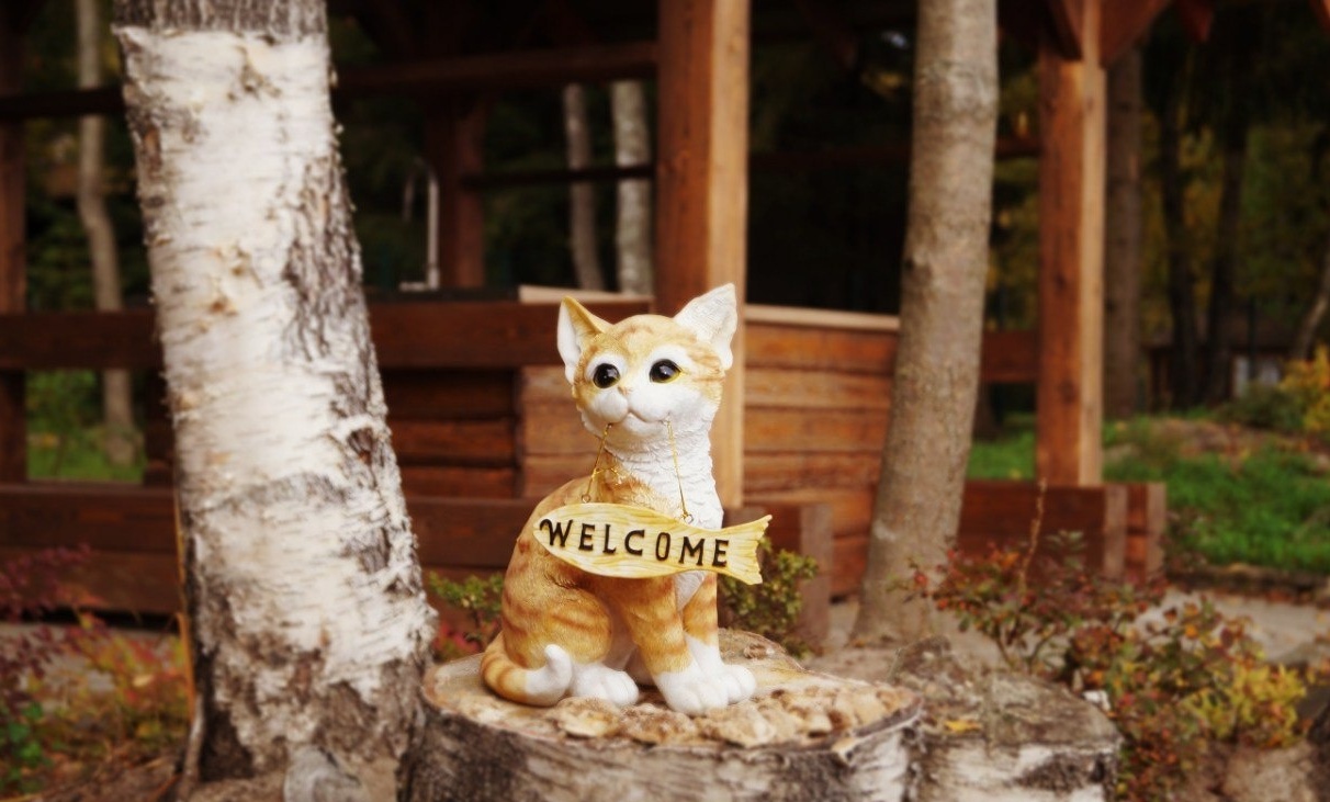 Фото Кошкинский фарватер