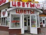 Цветы (ул. Пушкина, 101, Пермь), магазин цветов в Перми