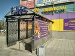 Bukhara (Partizana Germana Street, 22), cafe