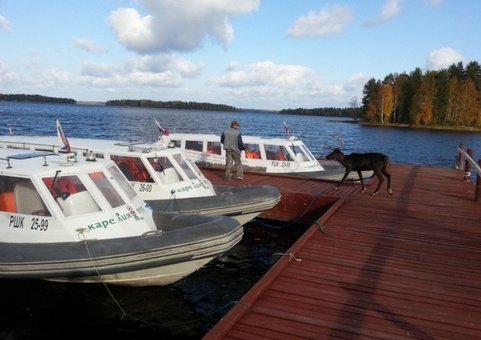 Гостиница Отель Карелия в Кондопоге