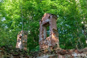 Руины усадьбы Хоминских (Minskaja region, Miadzielski rajon, Svirskiy selsovet), landmark, attraction