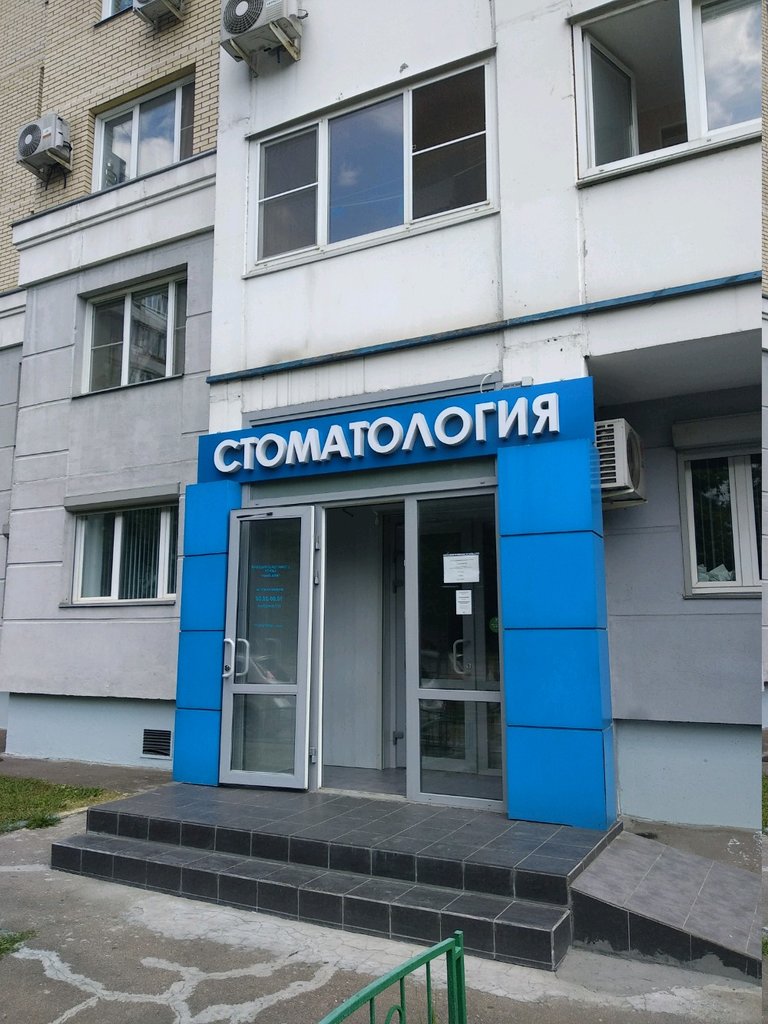Вик студио ореховый бул 33а фото