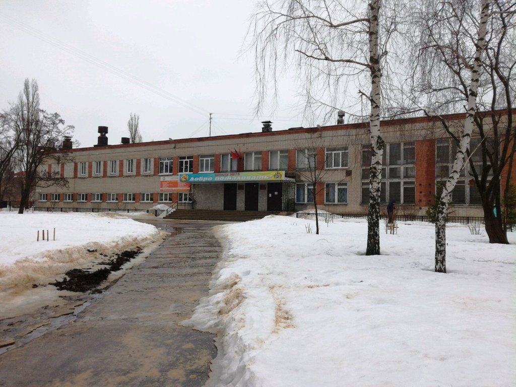 Школа 34 воронеж фото