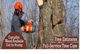 Tom's Tree Service (United States, Wenonah, 311 Colonial Dr), garden tools and equipment
