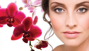 The Teresa Knight Clinic (England, Devon County, Totnes), beauty salon