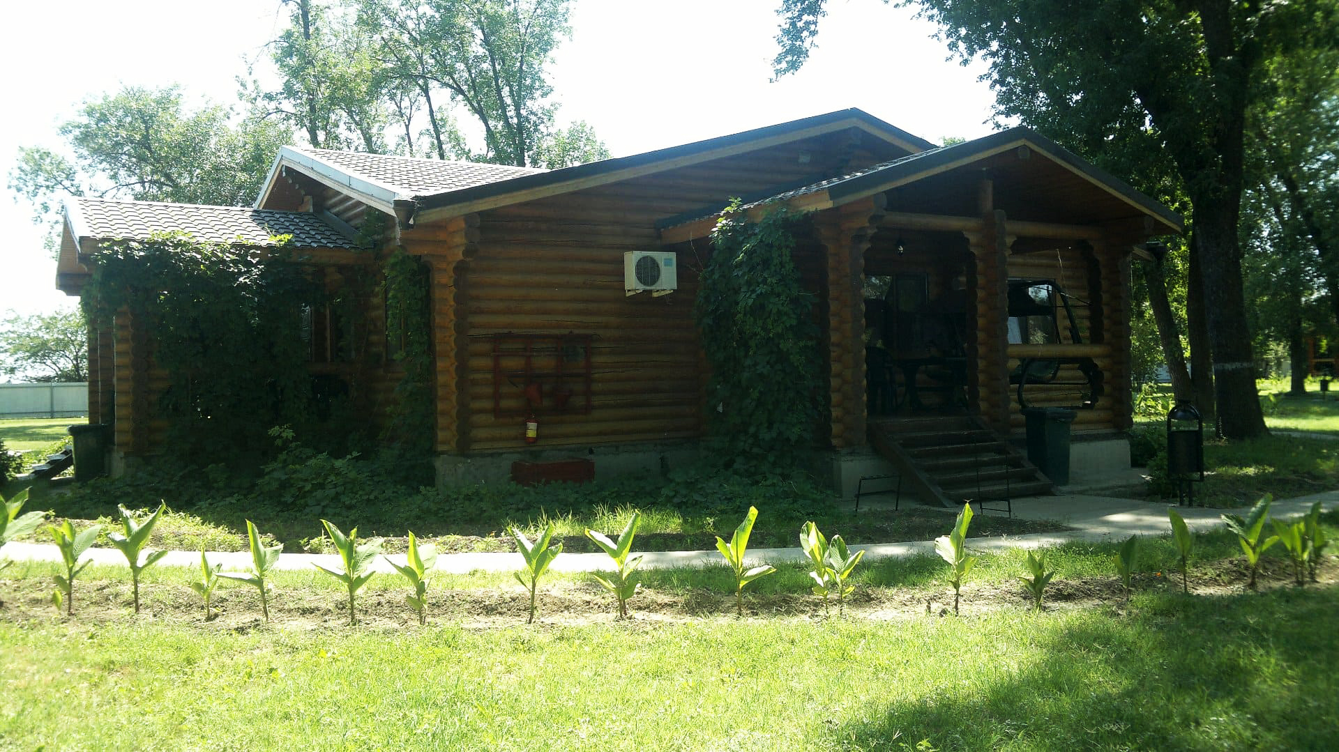 Фото Лесная