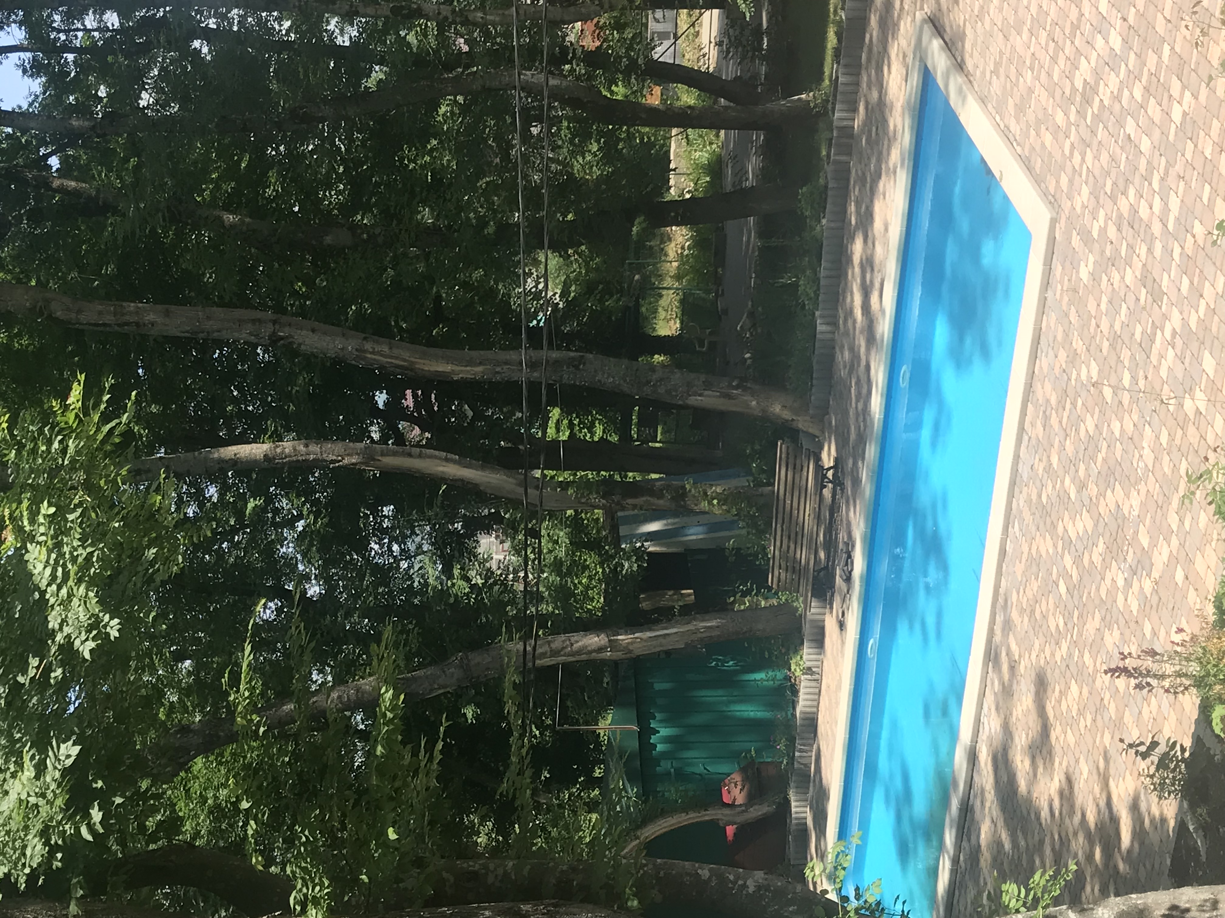 Фото Ручеек