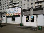 Платёжка (26 Bakinskikh Komissarov Street, 28А), payment terminal