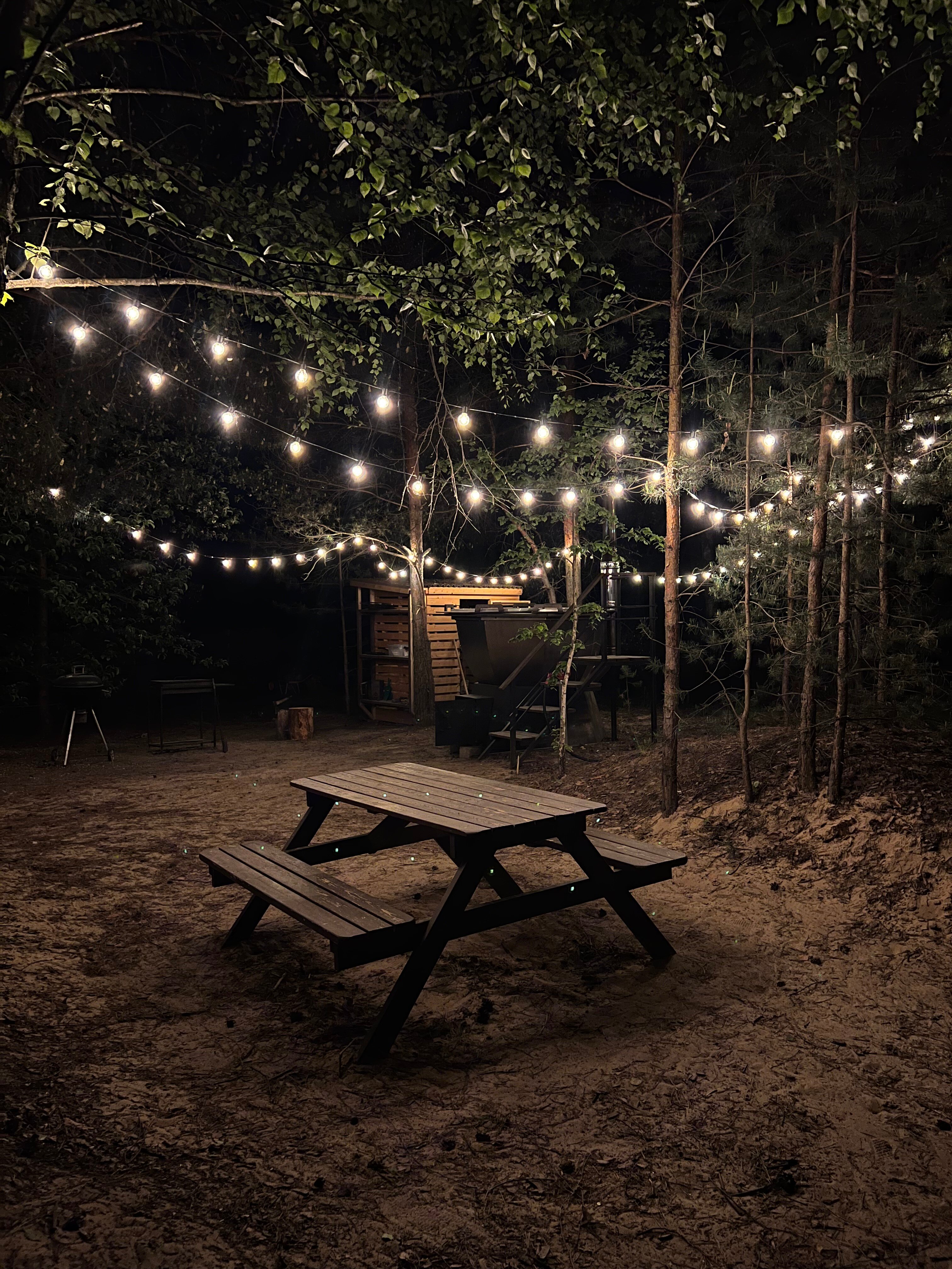 Фото Место под соснами