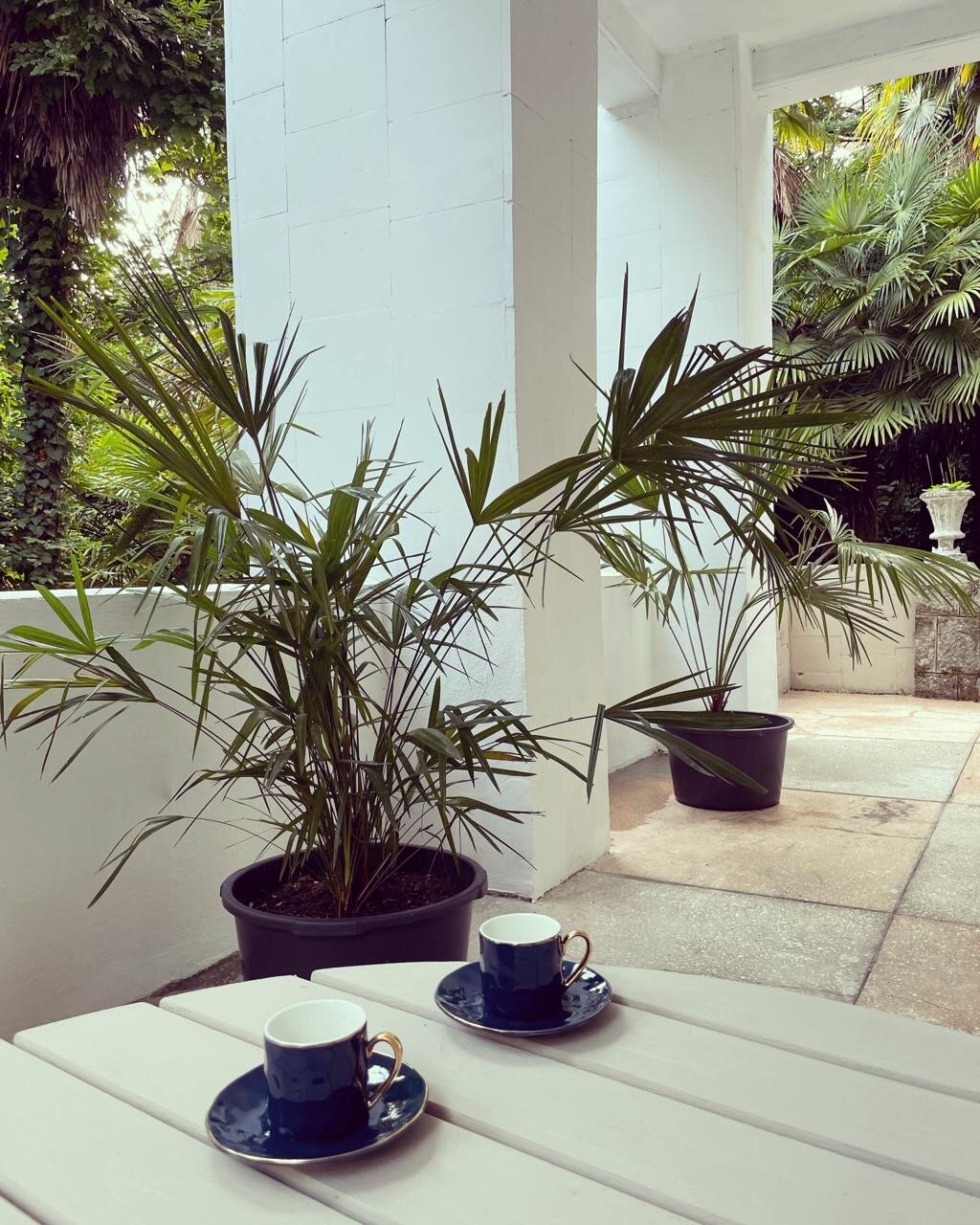 Фото Отель Villa Maria