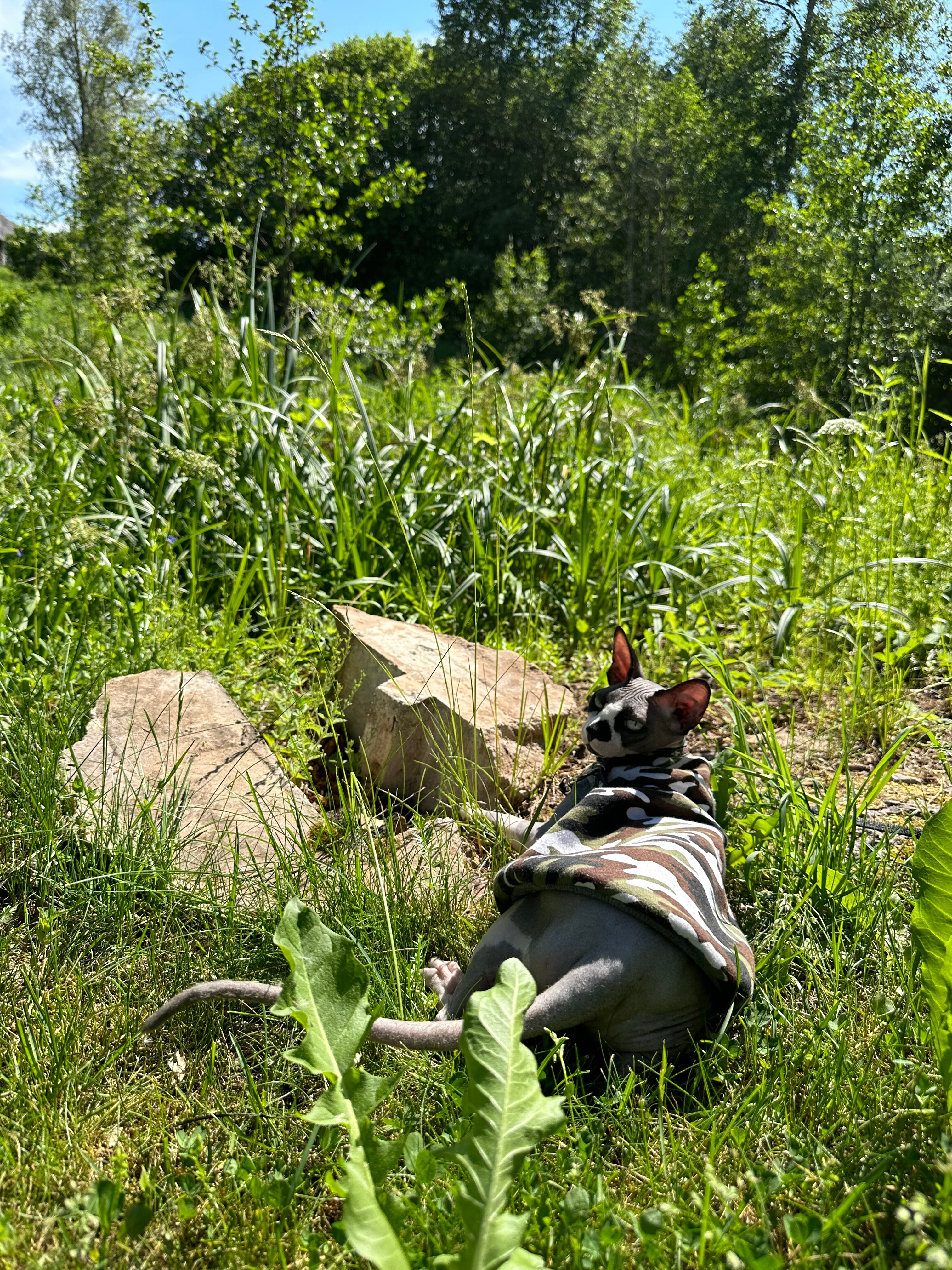 Фото Бугрово