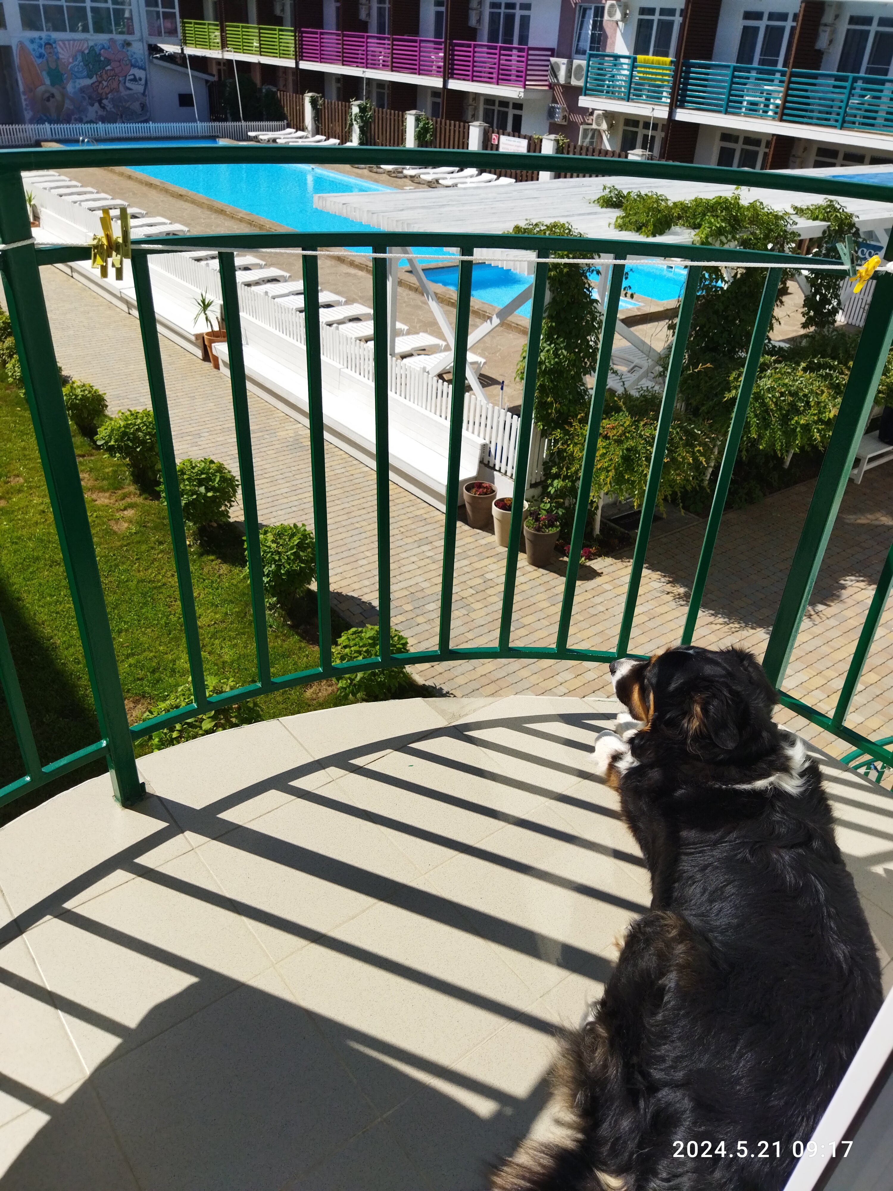 Фото ГринПарк