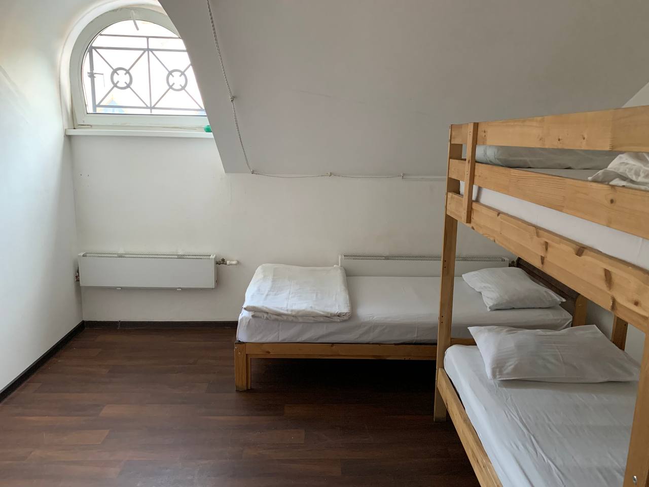 Фото Петя и Волк