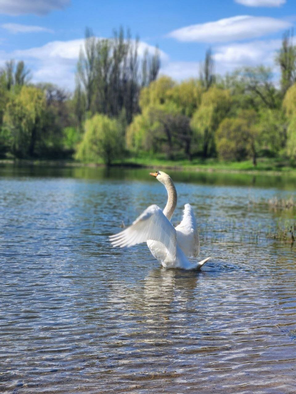 Фото Глэмпинг Ильино