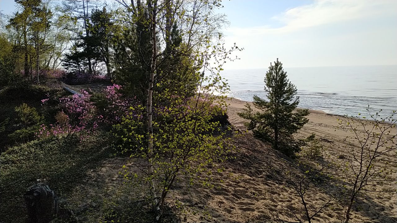 Фото Мэбис Байкал