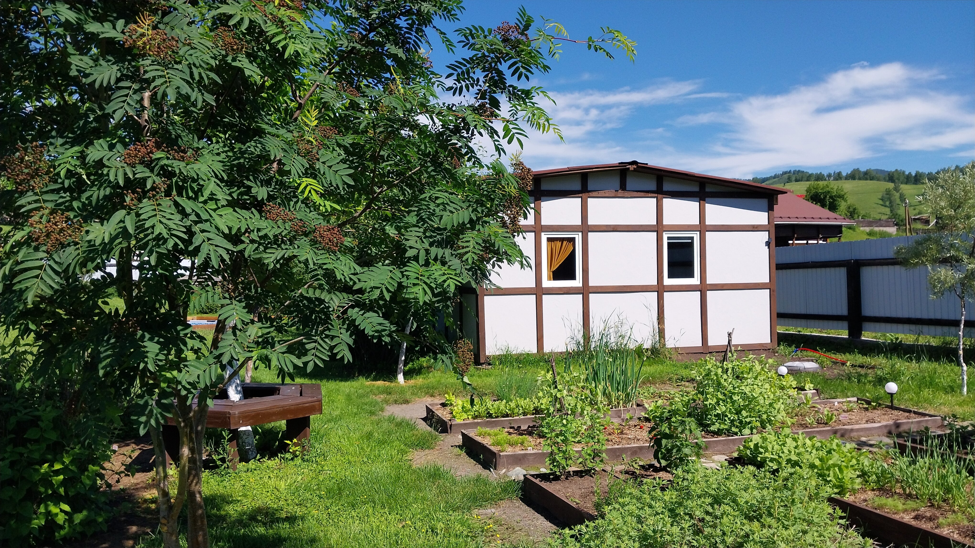 Фото Люминица