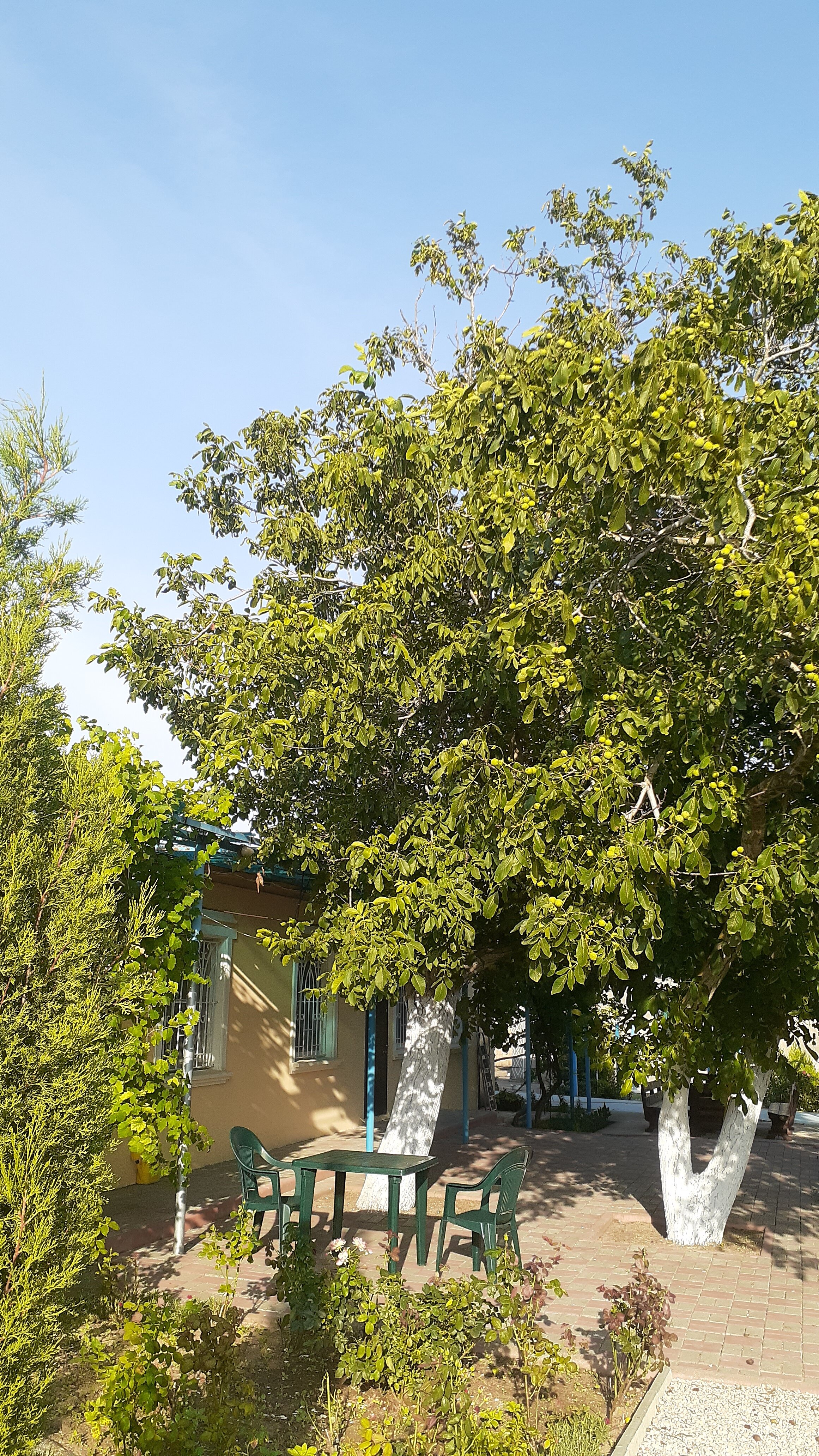 Фото Морская сказка