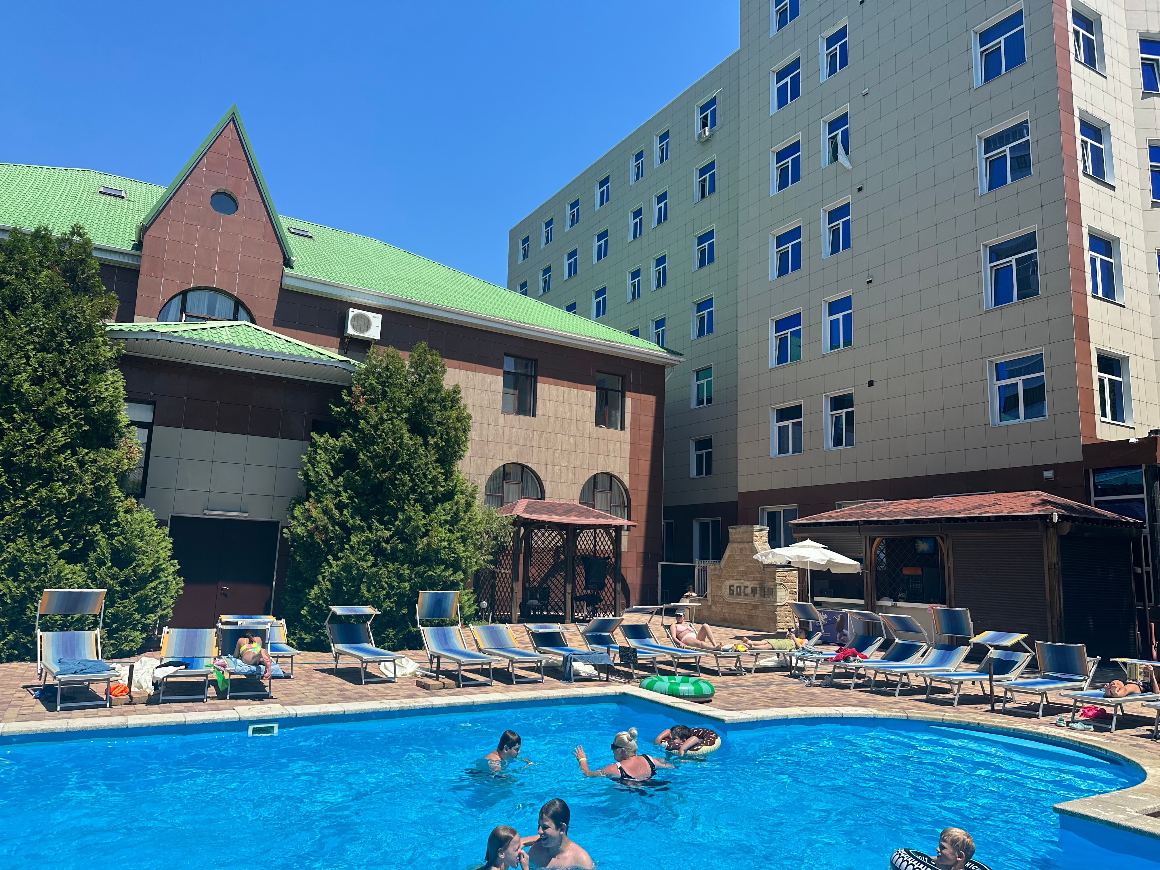 Фото Кипарис