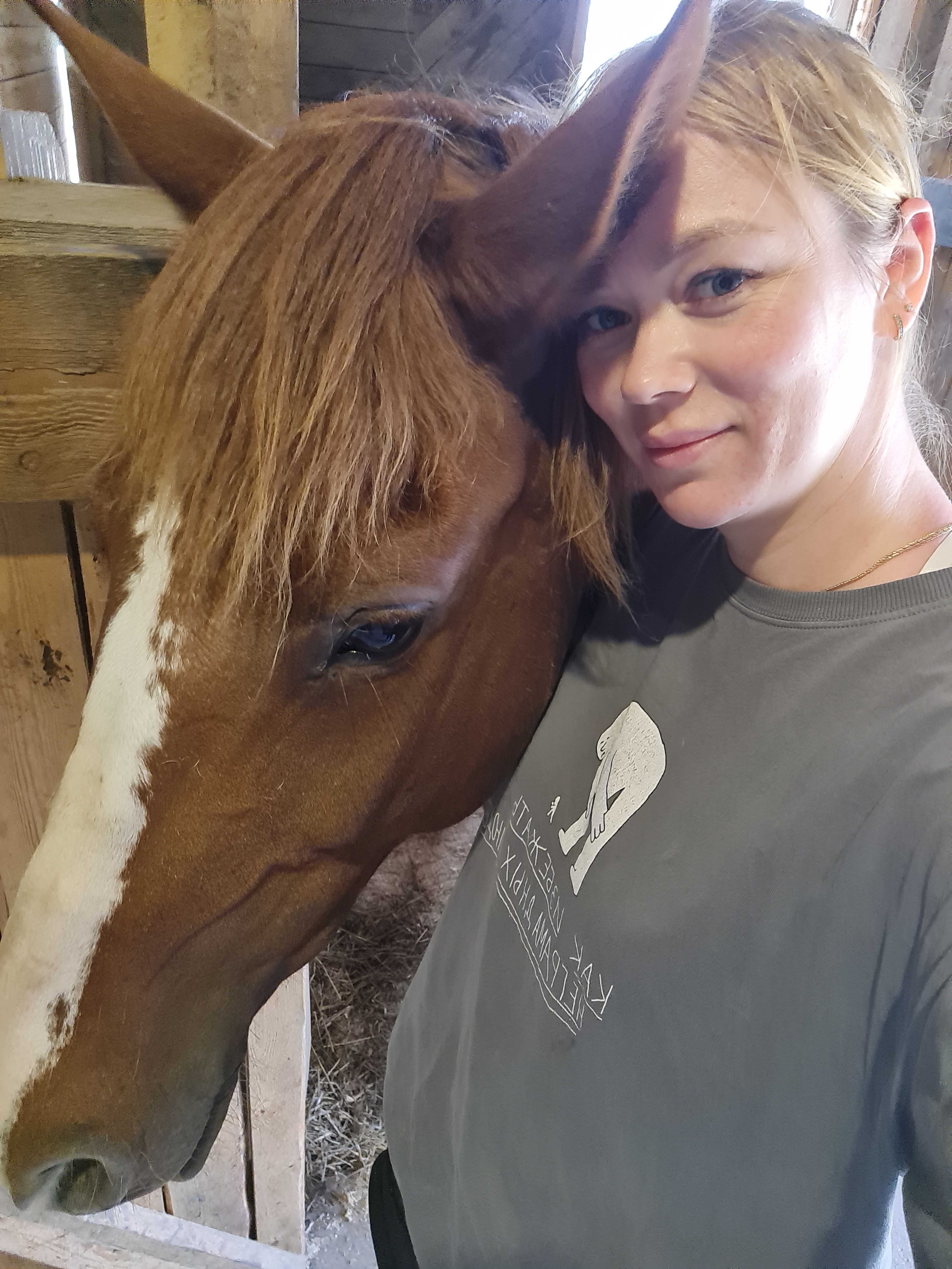 Фото Конюшенный двор