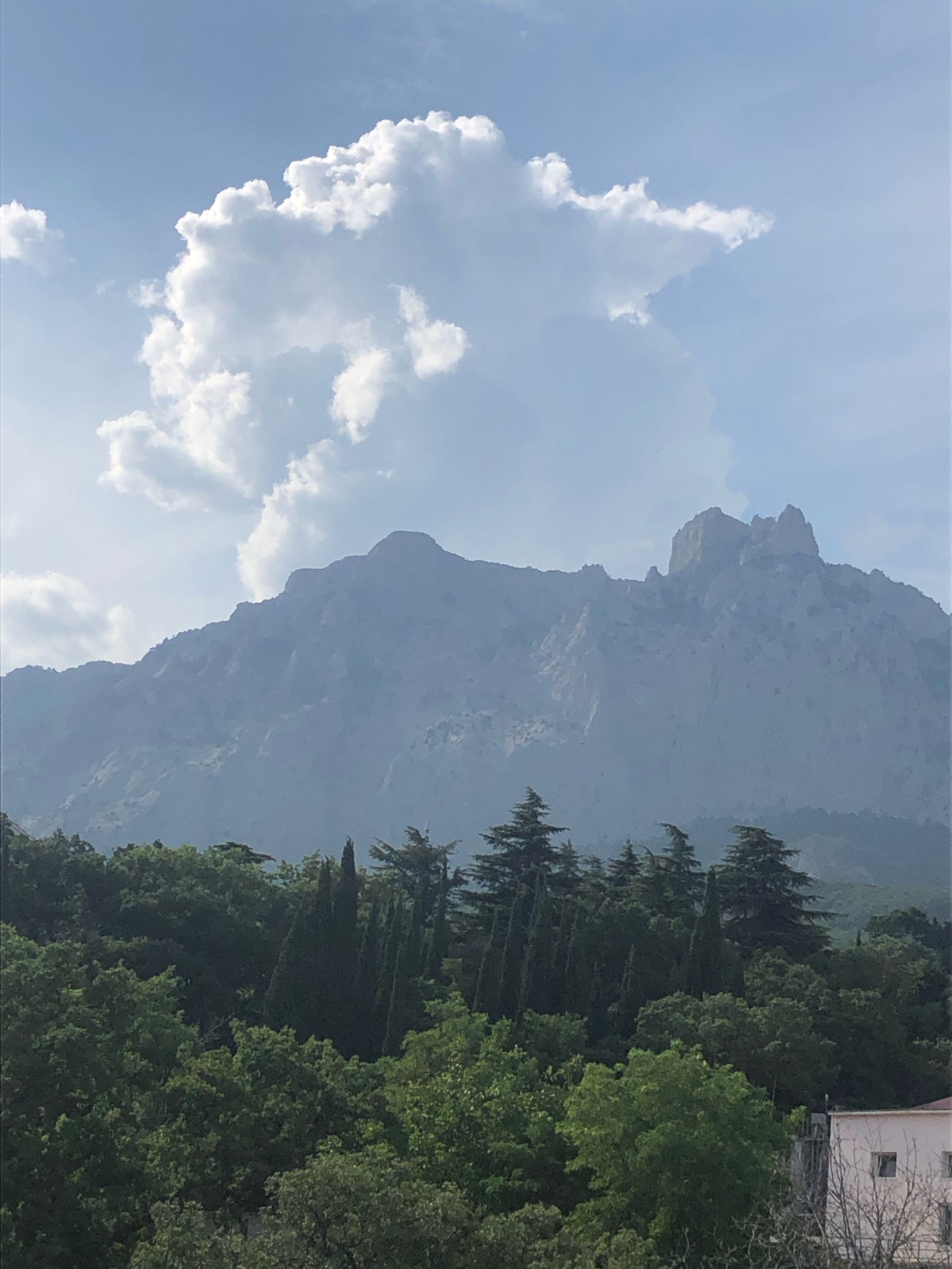 Фото Мисхорский парк