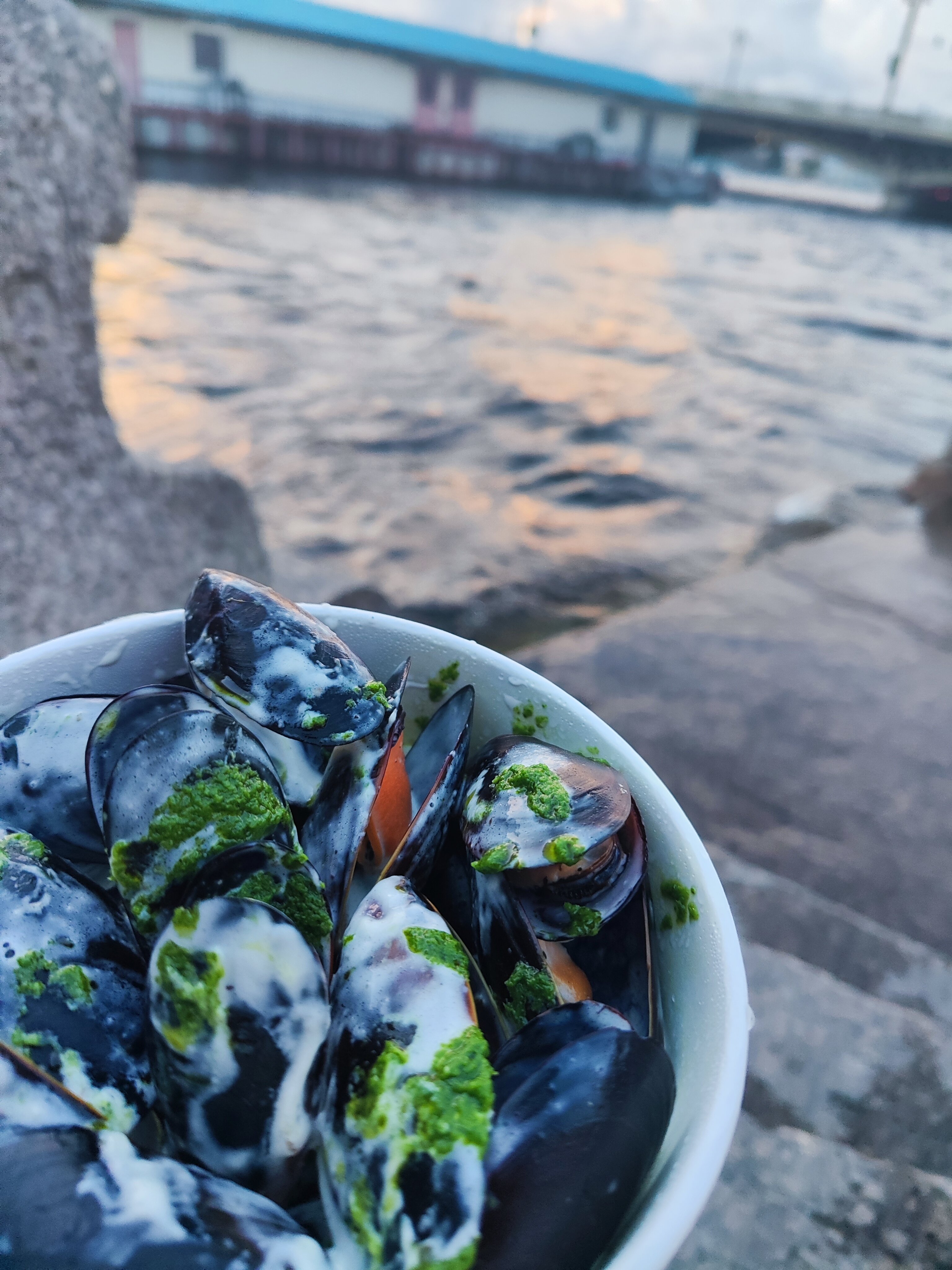 Фото Невский Капсульный