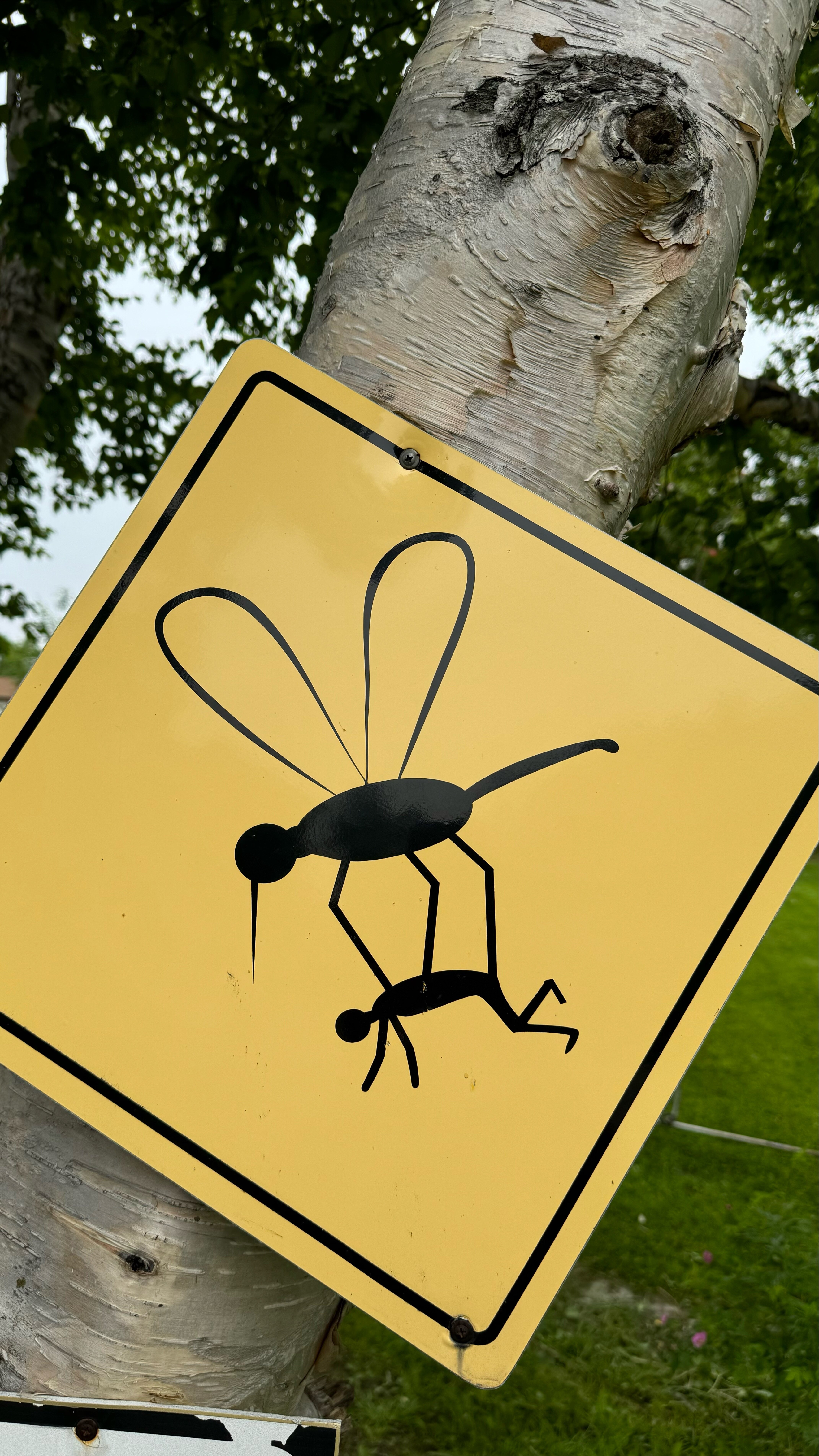 Фото Деревенька