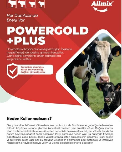 Fodder and feed additives Bintaş Consulting, Suleymanpasa, photo