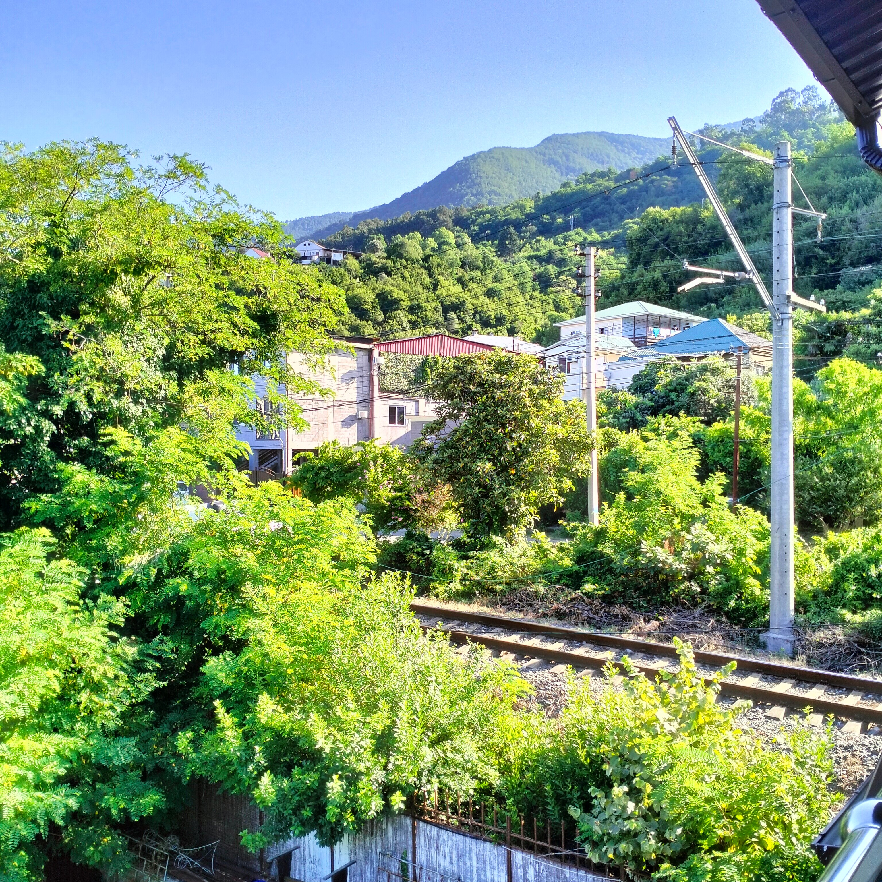 Фото Гости Кавказа 