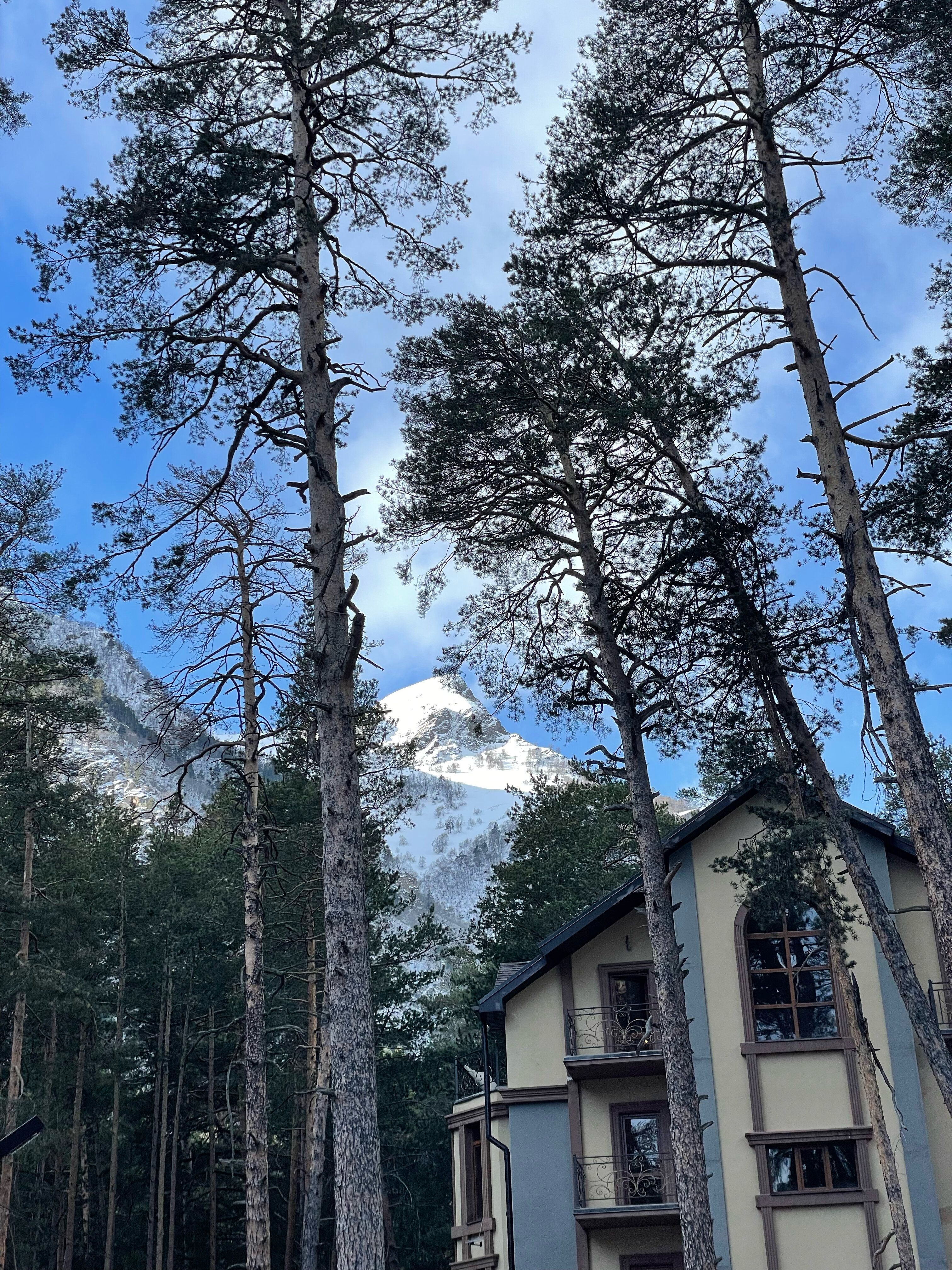 Фото Апартаменты Pine Elbrus