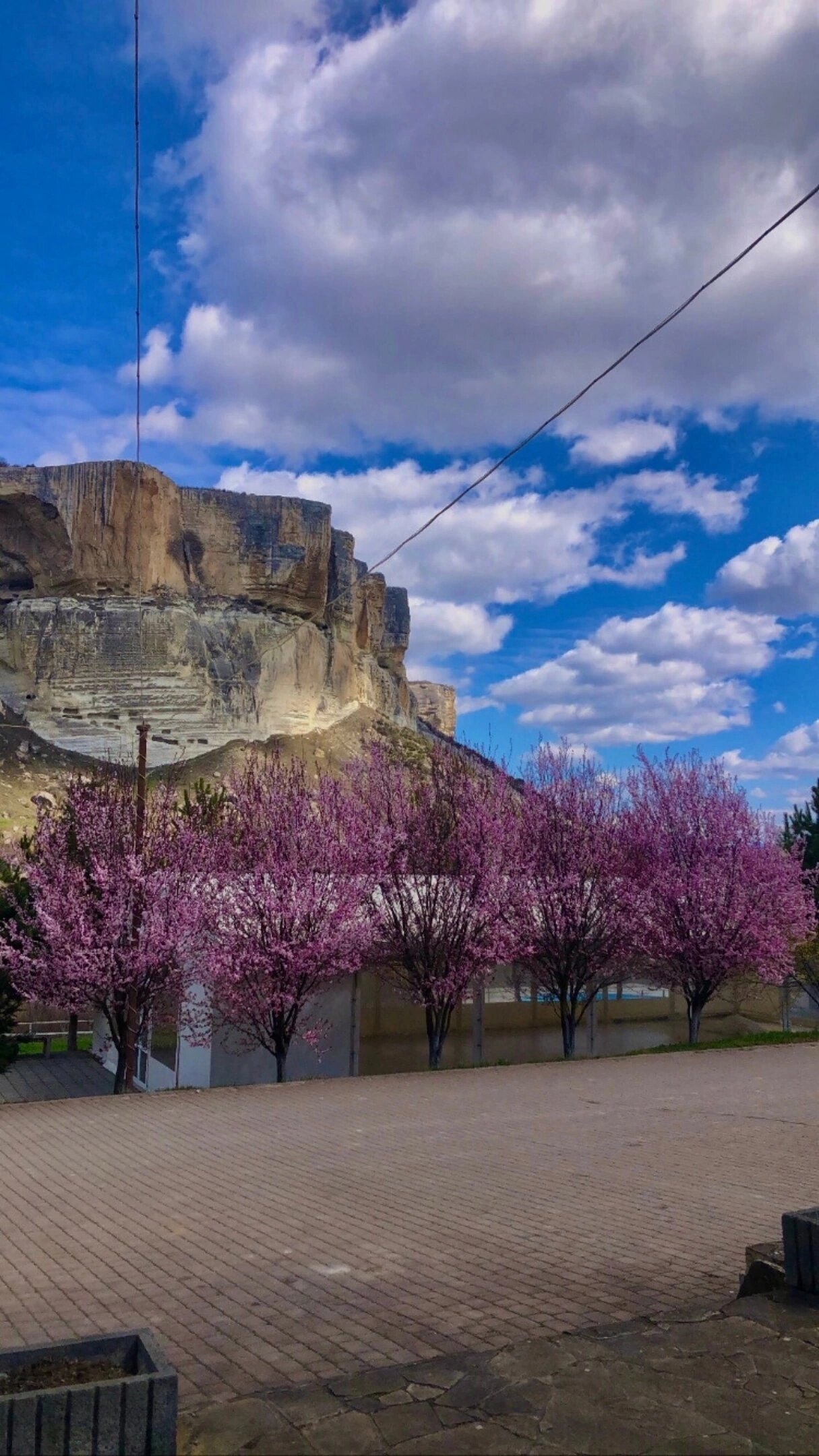 Фото Алимова Балка