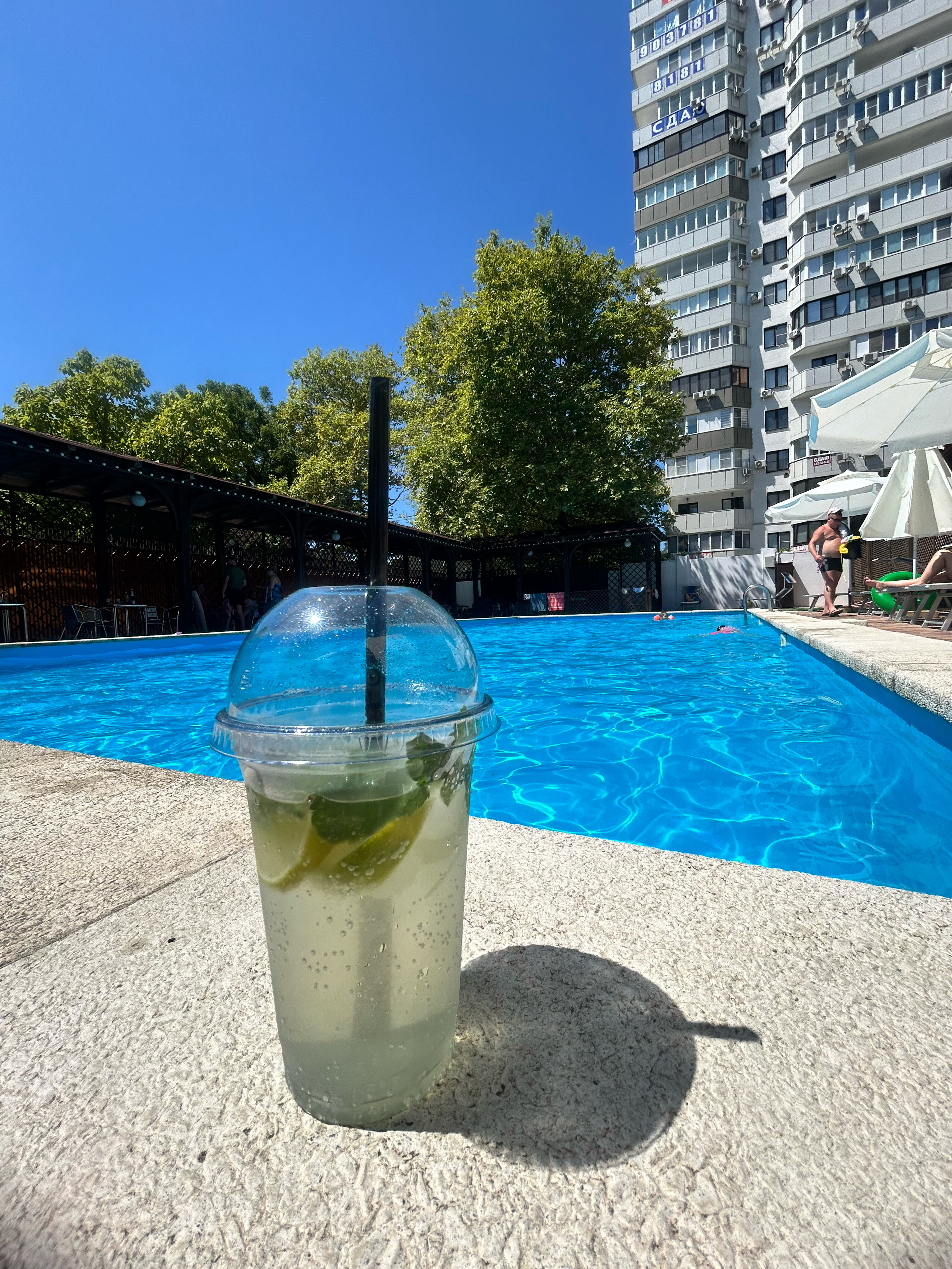 Фото Кипарис